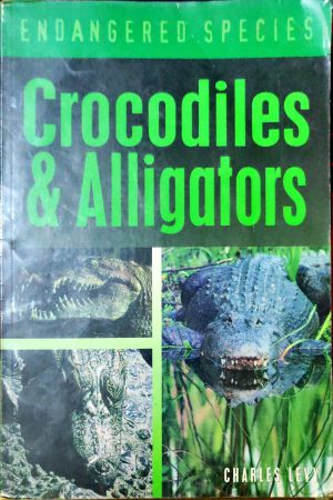 Crocodiles & Alligators